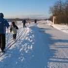 Wien, Donauinsel