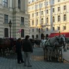 Wien: Fiaker auf dem Michaelerplatz