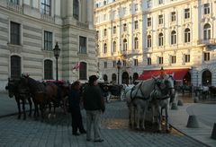 Wien: Fiaker auf dem Michaelerplatz