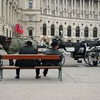Wien: Fiakerkutscher warten auf Kundschaft