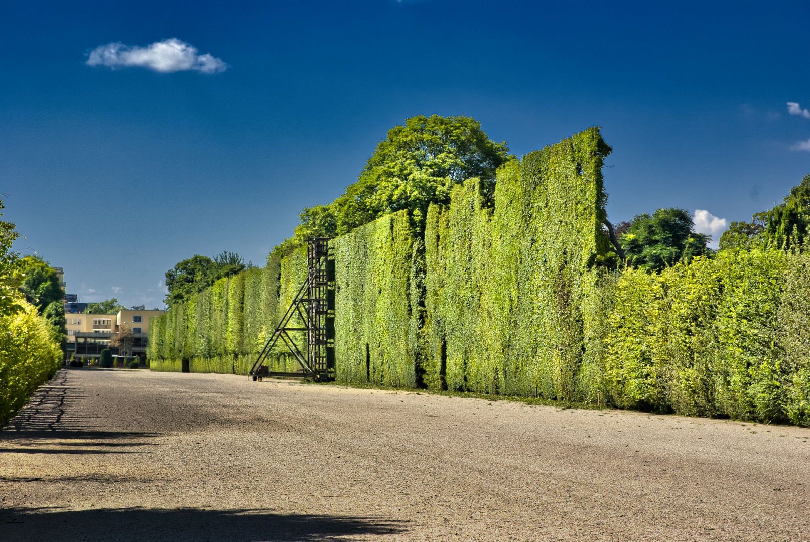 Wien, Hofgarten Schloß Schönbrunn