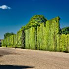 Wien, Hofgarten Schloß Schönbrunn