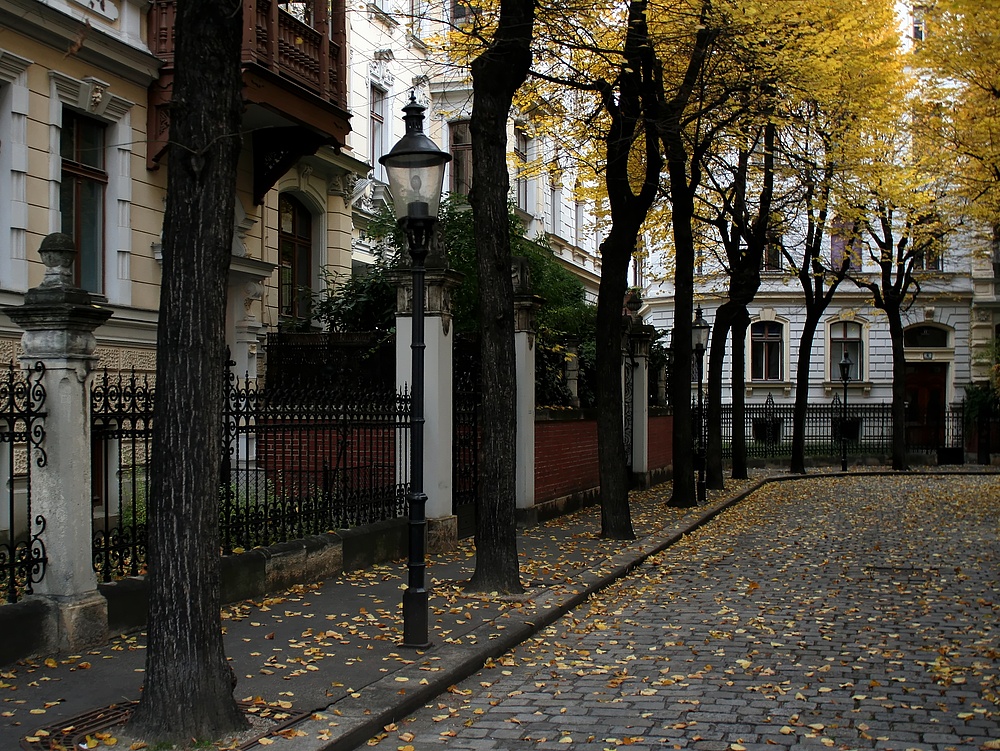 Wien im Herbst