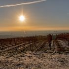 Wien im Sonnenlicht