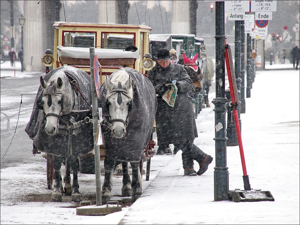 Wien ist anders