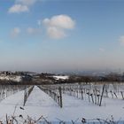 Wien, Kahlenberg