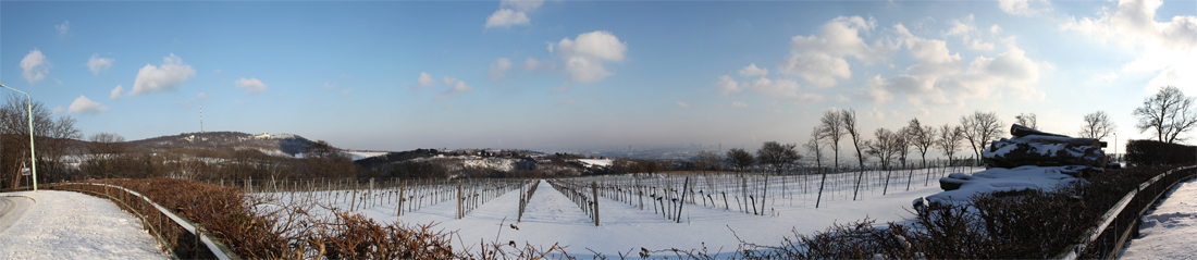 Wien, Kahlenberg