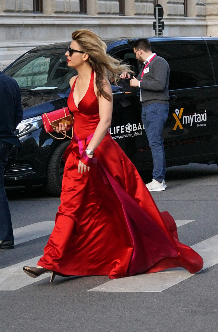 Wien, Life Ball, 2.6.2018, Bild 1