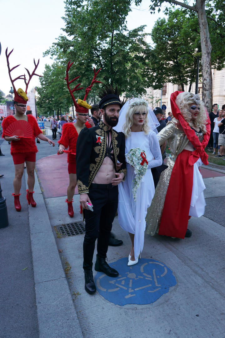 Wien, Life Ball, 2.6.2018, Bild 18