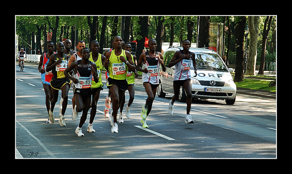 .........Wien-Marathon heute