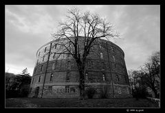 Wien - "Narrenturm"