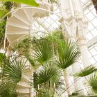 Wien Palmenhaus