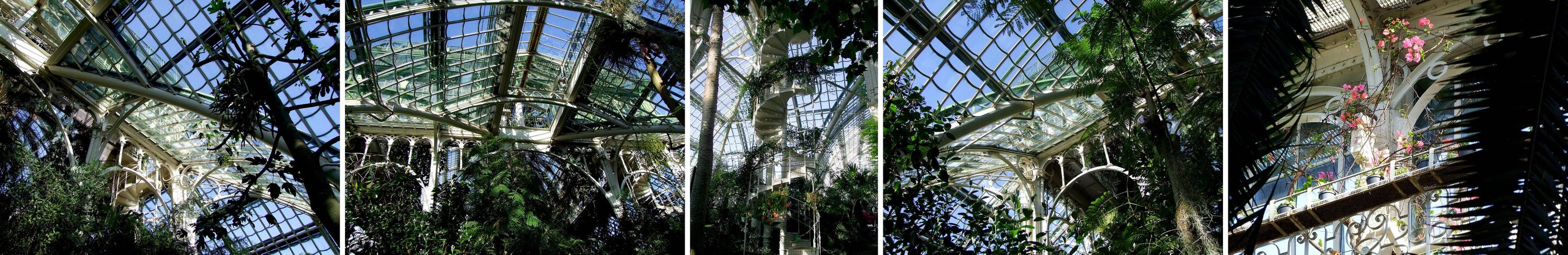 Wien-Palmenhaus Innenansicht