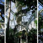 Wien-Palmenhaus Innenansicht