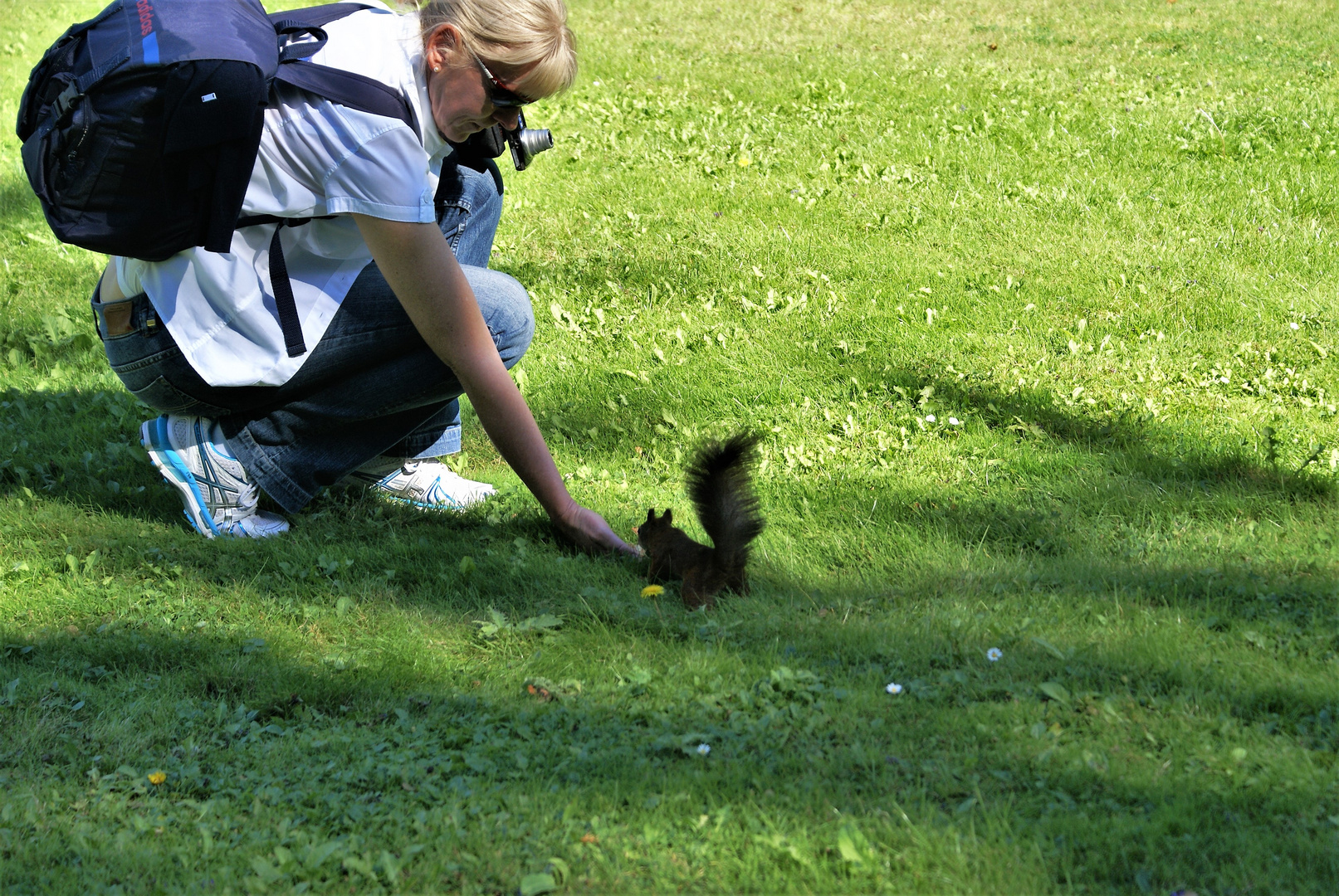 Wien  Park Schönbrunn Fütterung Eichhörnchen (1)