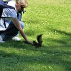 Wien  Park Schönbrunn Fütterung Eichhörnchen (1)