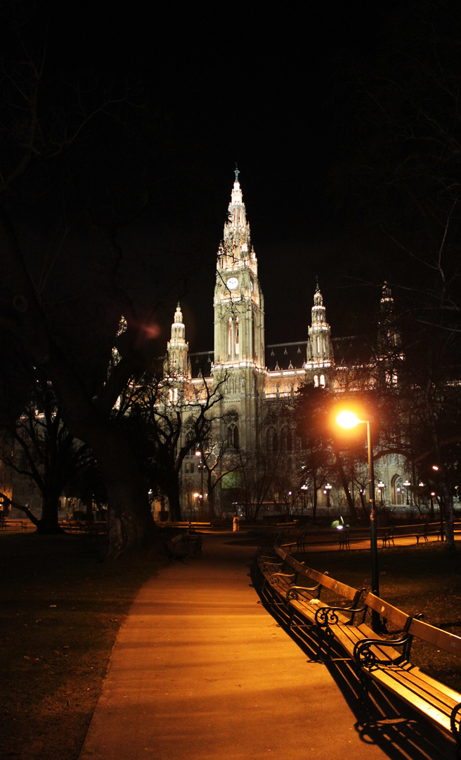 Wien - Rathaus bei Nacht