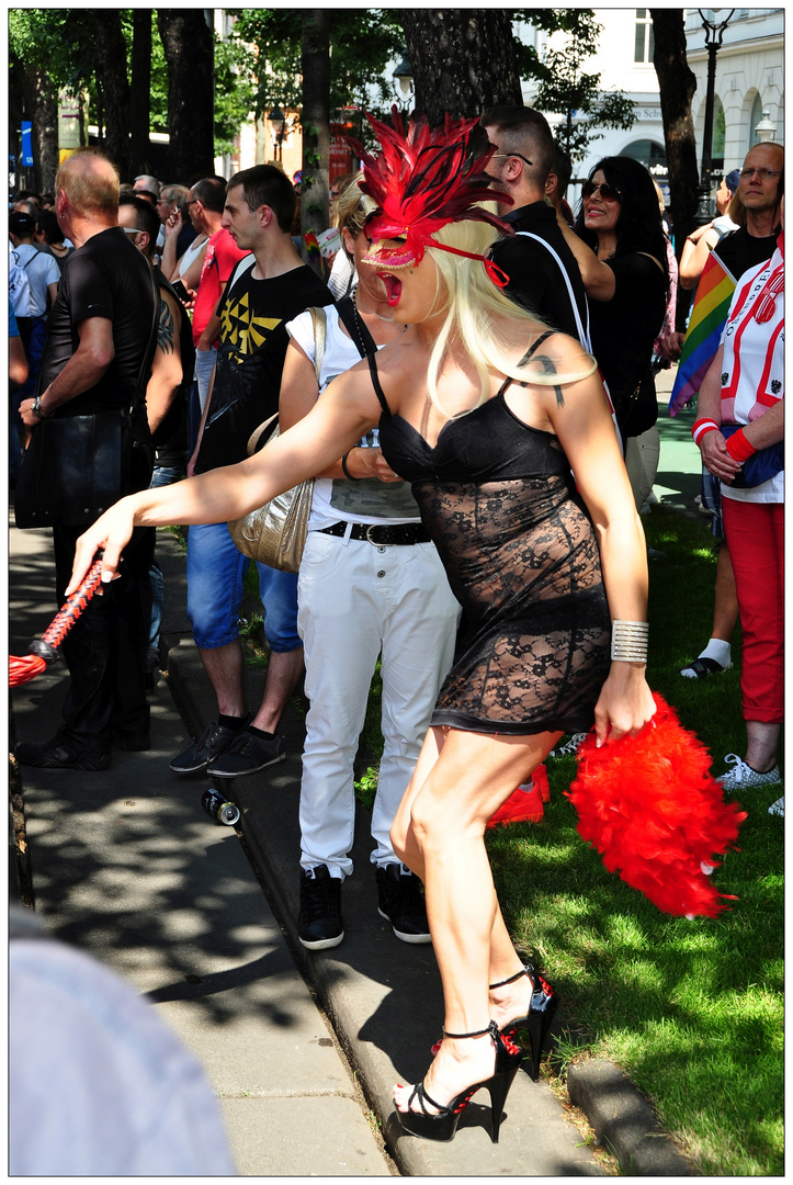 Wien, Regenbogenparade 2016 Foto & Bild | wien, menschen ...