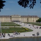 Wien Schloss Schönbrunn im Frühling