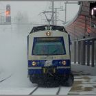 Wien: Schneefall, starker Wind, -3 Grad Celsius