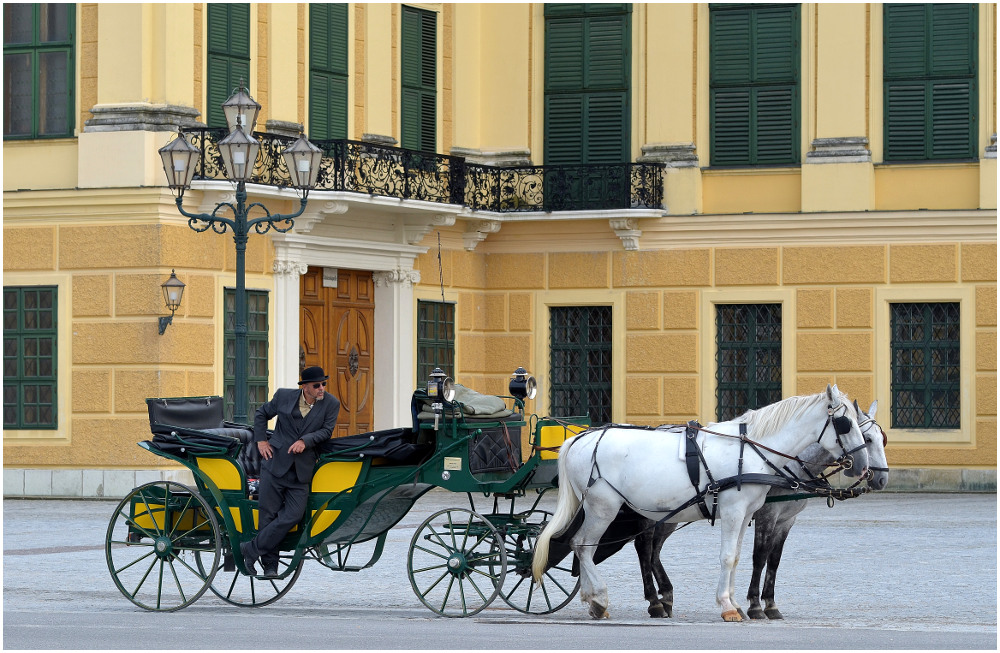 Wien, Schönbrunn: in Wartestellung