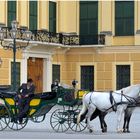 Wien, Schönbrunn: in Wartestellung