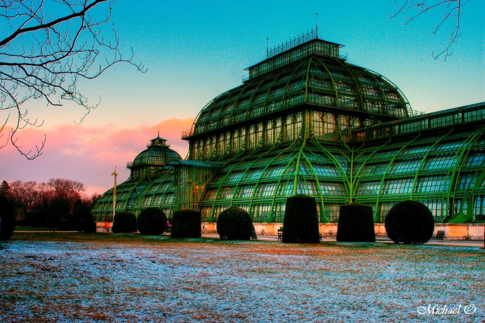 Wien Schönbrunn Palmenhaus