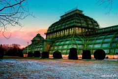 Wien Schönbrunn Palmenhaus