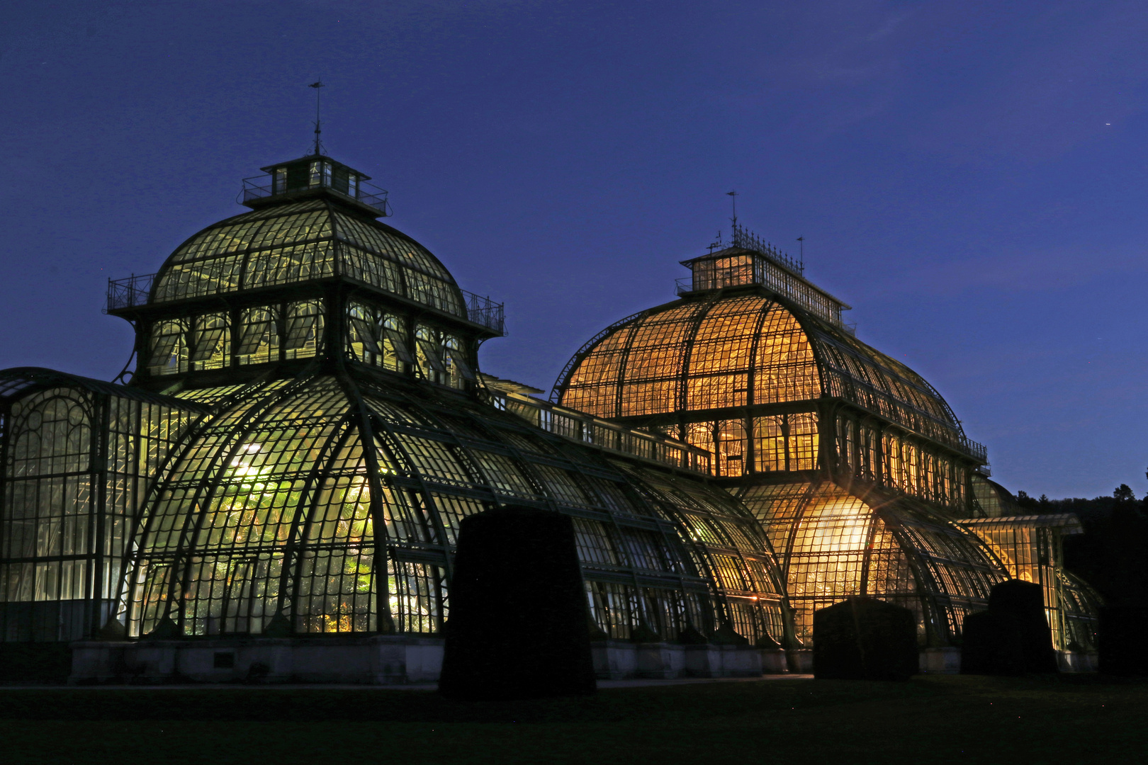 Wien Schönbrunn, Palmenhaus 