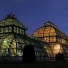 Wien Schönbrunn, Palmenhaus 