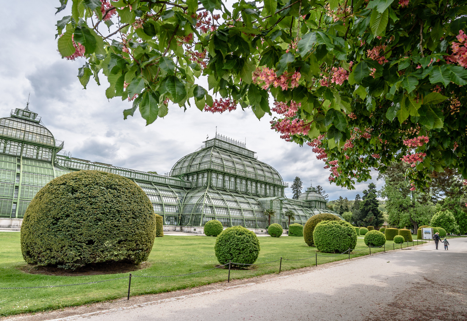 Wien Schönbrunn Palmenhaus