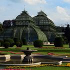 Wien Schönbrunn Palmenhaus