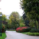 Wien - Stadtpark im November