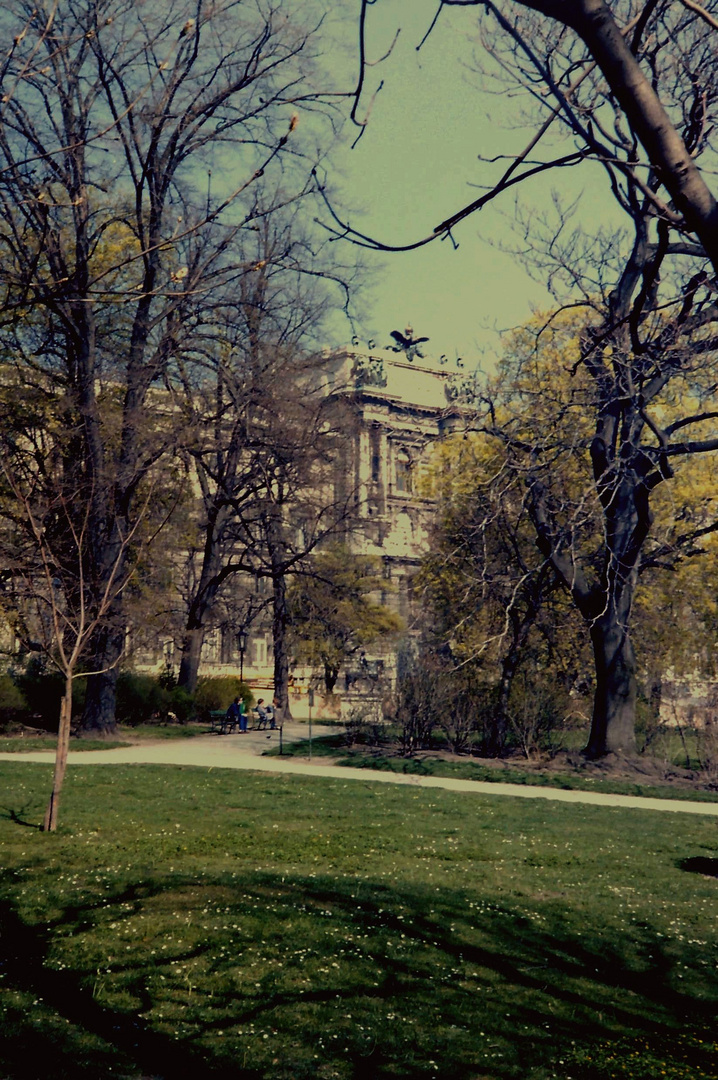 Wien - Volksgarten mit Blick auf die "Neue Burg".