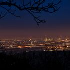 Wien vom Kahlenberg