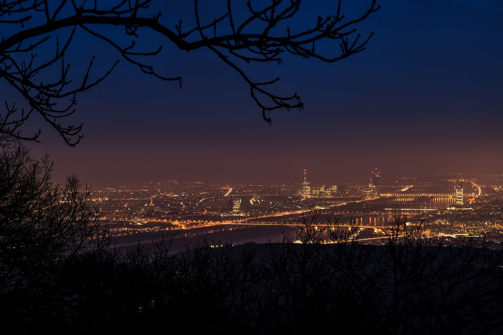 Wien vom Kahlenberg