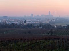 Wien von Stammersdorf gesehen