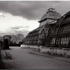 wien ... walk through the park