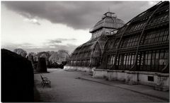 wien ... walk through the park