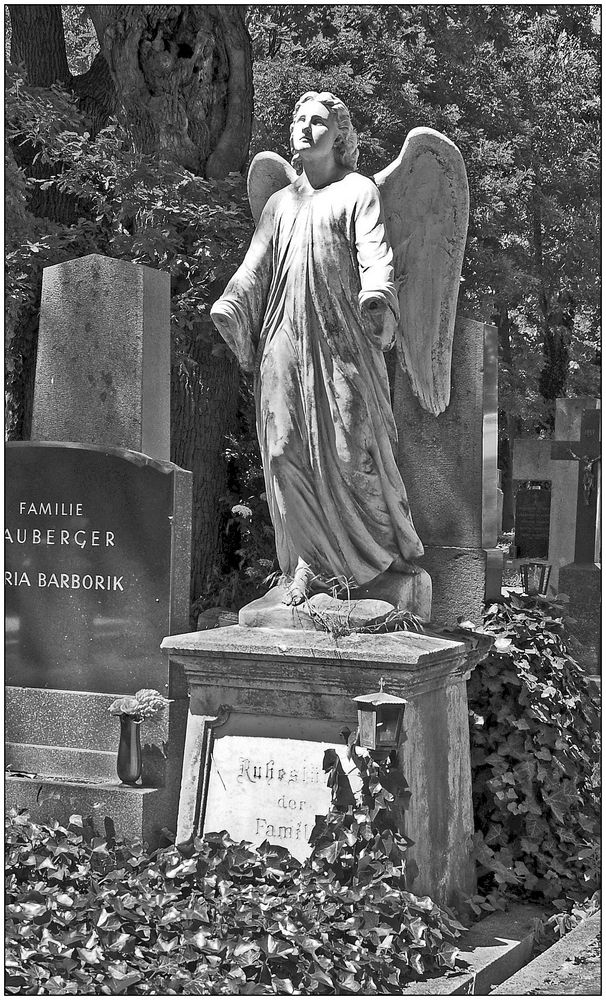 Wien, Zentralfriedhof