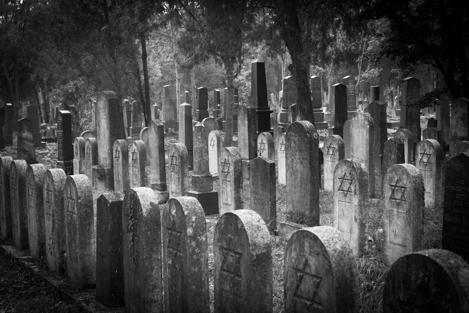 Wien-Zentralfriedhof