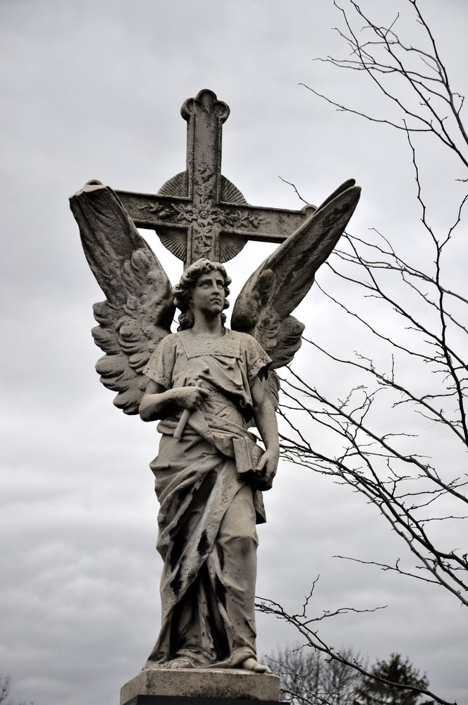 Wien - Zentralfriedhof ..