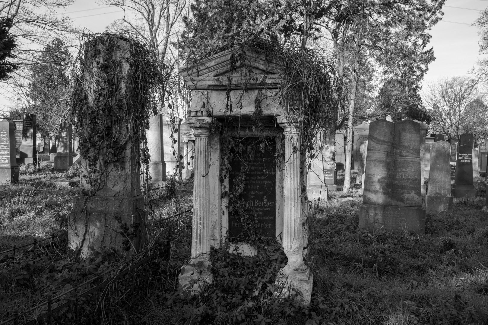 Wien Zentralfriedhof