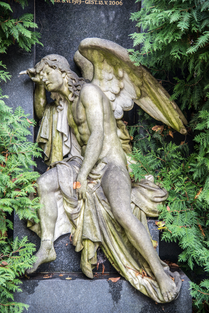 Wien Zentralfriedhof II_9