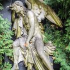 Wien Zentralfriedhof II_9