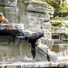 wien zoo 1