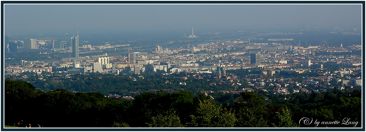 Wienblick vom Cobenzl