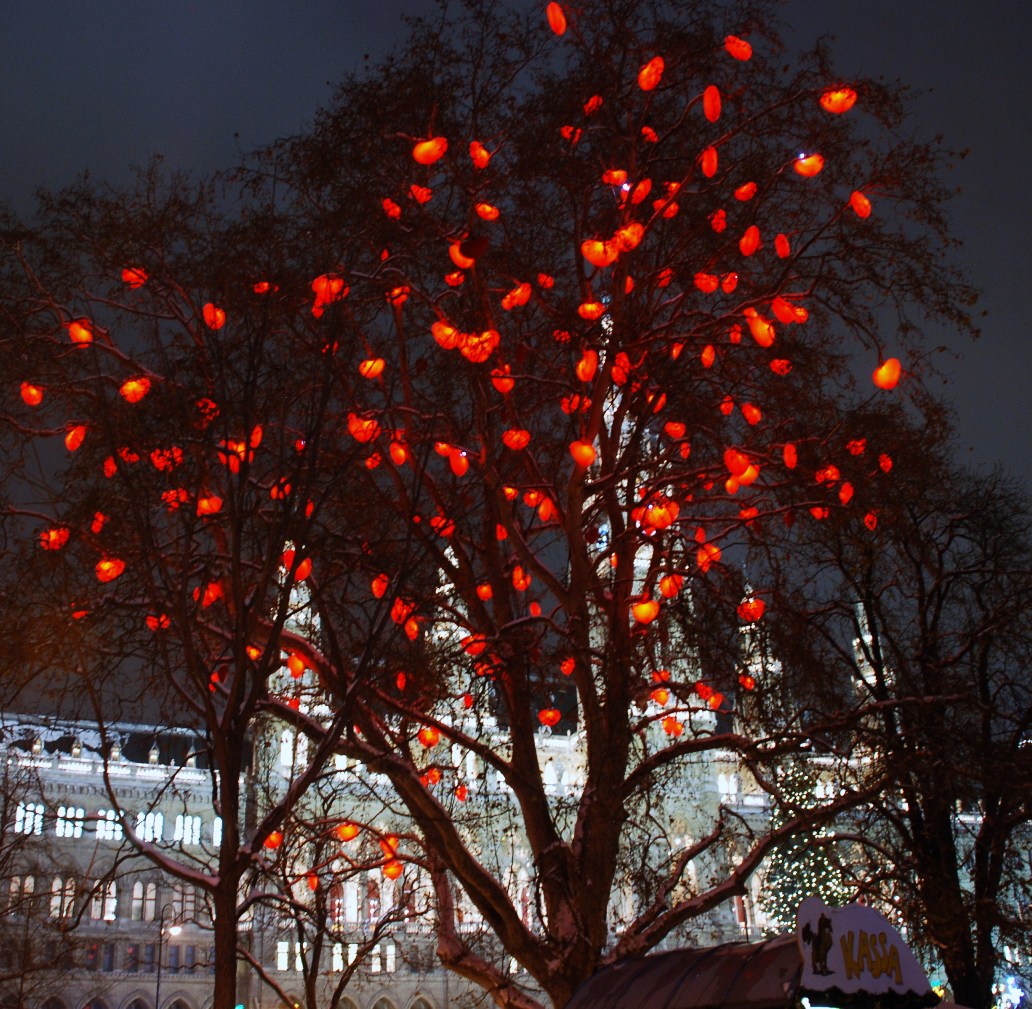 Wiener Christkindelmarkt 2010