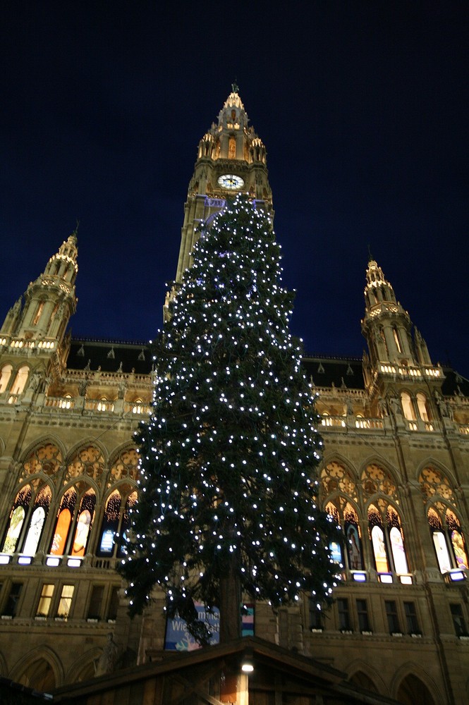 Wiener Christkindlmarkt mit dem Christbaum vor dem Rathaus