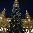 Wiener Christkindlmarkt mit dem Christbaum vor dem Rathaus